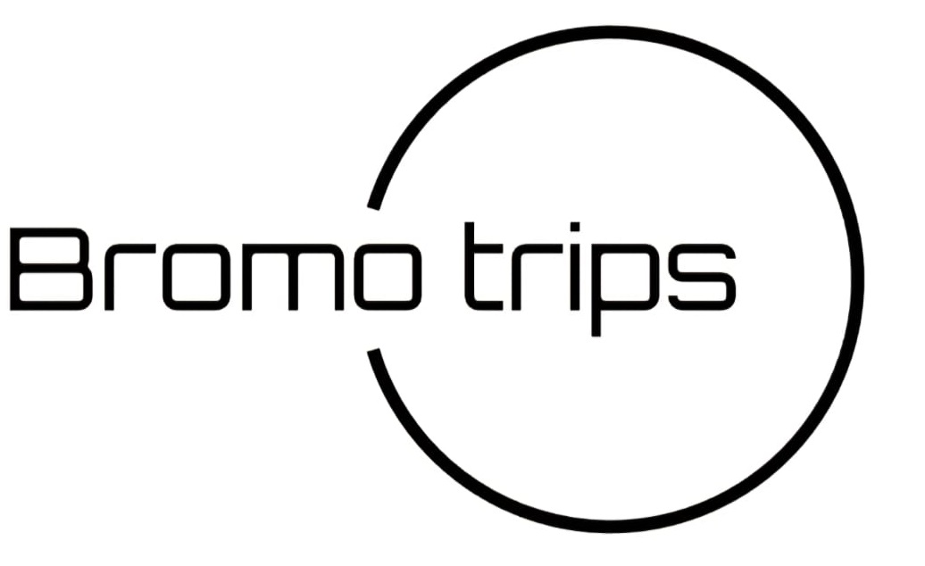 BromoTrips.com